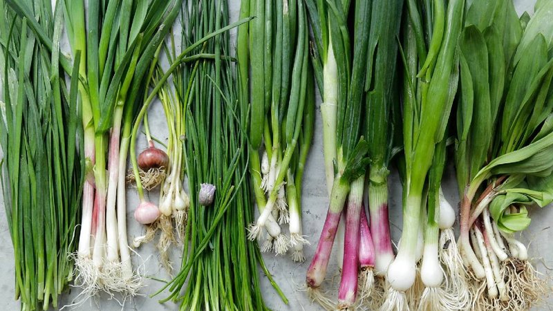 Spring Onions 2