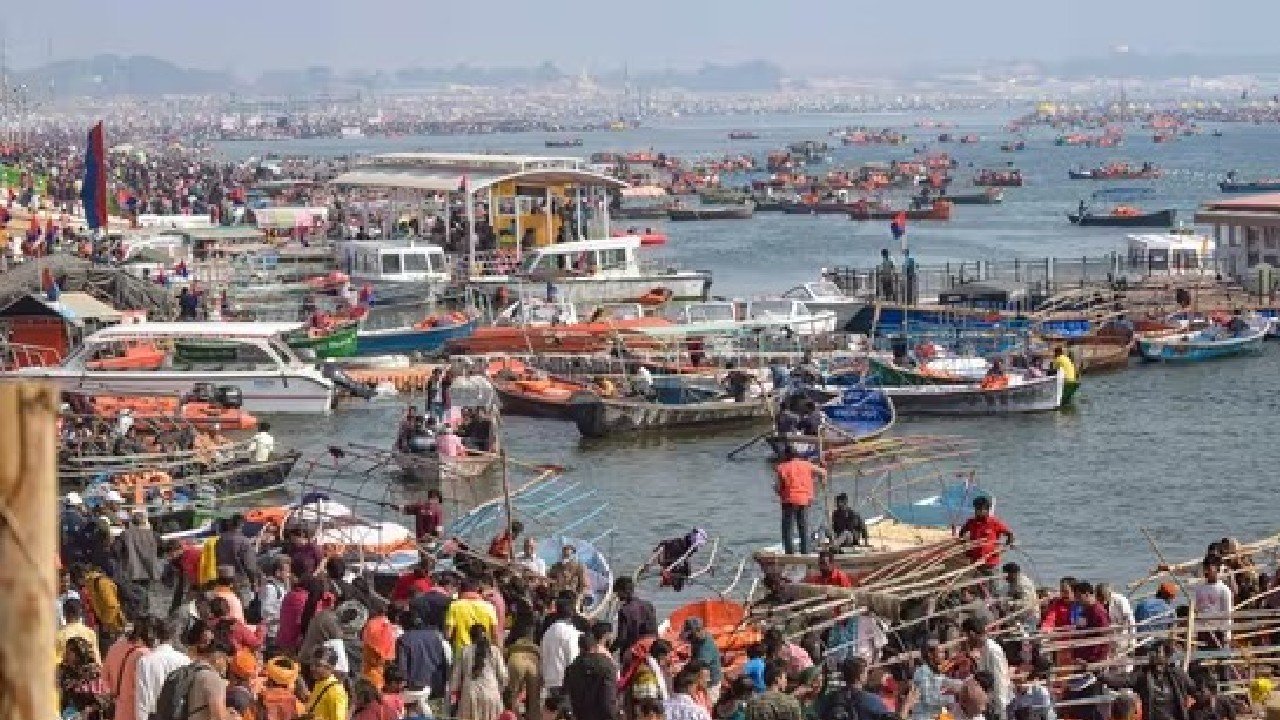 dog in mahakumbha mela