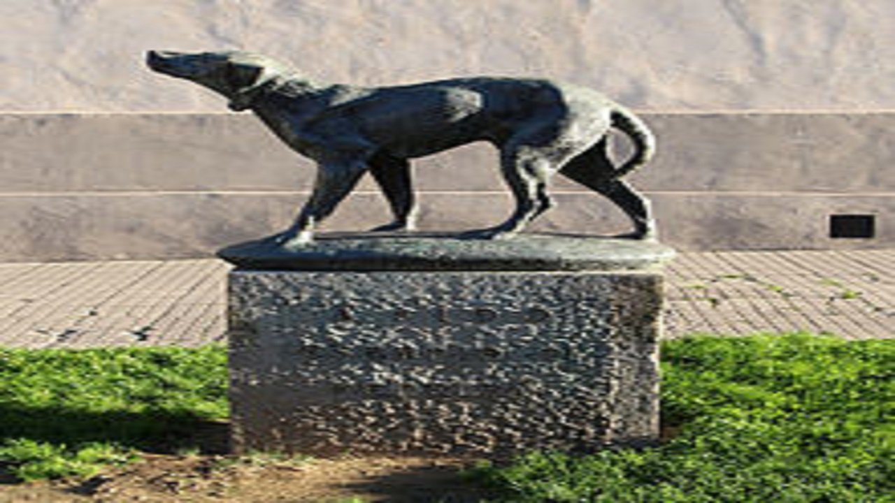 fido Borgo_san_lorenzo,_monumento_al_cane_