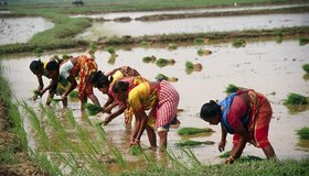 ಕಾಯಕ ನಿಷ್ಠೆಯೇ ಆತ್ಮೋನ್ನತಿಗೆ ದಾರಿ