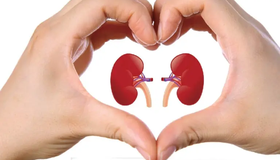 Kidney Problem: ಮೂತ್ರಪಿಂಡದ ಸಮಸ್ಯೆ ಬರದಂತೆ ತಡೆಯಲು ಈ ಸರಳ ನಿಯಮಗಳನ್ನು ಪಾಲಿಸಿ