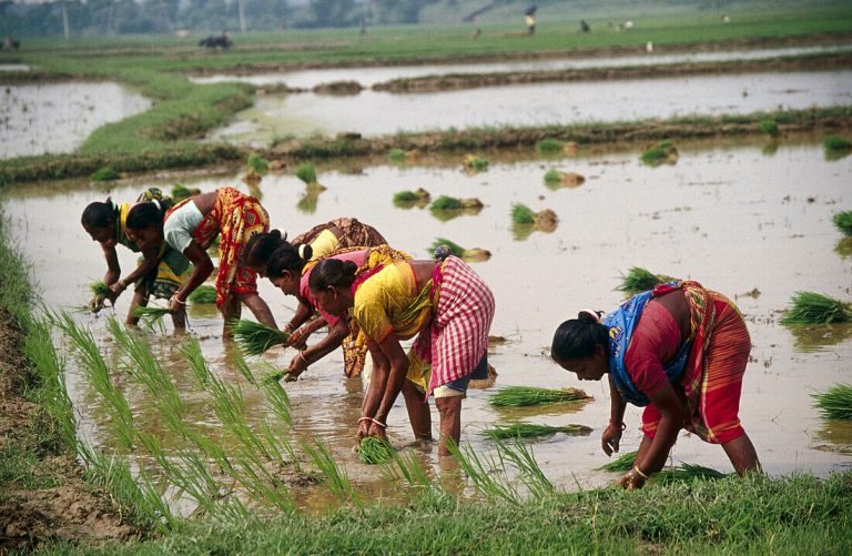 ಕಾಯಕ ನಿಷ್ಠೆಯೇ ಆತ್ಮೋನ್ನತಿಗೆ ದಾರಿ