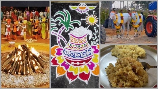 Makara Sankranti 2025: ಸಂಕ್ರಾಂತಿ ಹಬ್ಬದ ಸಂಭ್ರಮ: ವಿವಿಧ ರಾಜ್ಯಗಳಲ್ಲಿ ಆಚರಣೆ ಹೇಗಿರಲಿದೆ? ಇಲ್ಲಿದೆ ವಿವರ